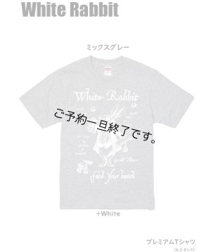 画像2: 現在受付中☆彡8月22日(火)締切「WHITE RABBIT」プレミアムTシャツ(594201)全32色 お受け渡し2023年9月中旬頃