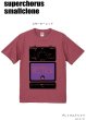 画像1: 現在受付中☆彡11月5日(日)締切「superchorus-smallclone」プレミアムTシャツ お受け渡し2023年11月下旬頃 (1)